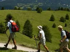 Escursionisti in montagna Escursionisti estivi in montagna