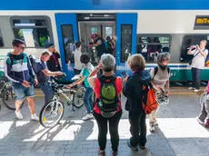 stefano da rin puppel - perona - calalzo di cadore - arrivo del primo treno abilitato al trasporto biciclette