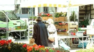 I banchi dei fiori in largo Castaldi al martedì sono destinati ad essere trasferiti in piazza Isola