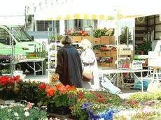 I banchi dei fiori in largo Castaldi al martedì sono destinati ad essere trasferiti in piazza Isola