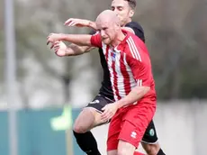 bolognini agenzia foto film motta di livenza liventina -sedico in foto