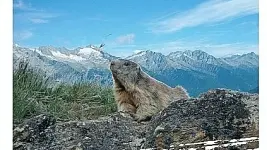 La copertina del calendario