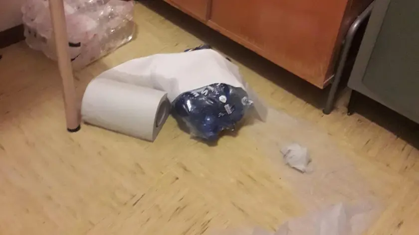 Vandali a scuola