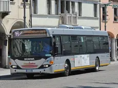 GLI AUTOBUS DELLA DOLOMITIBUS A BELLUNO