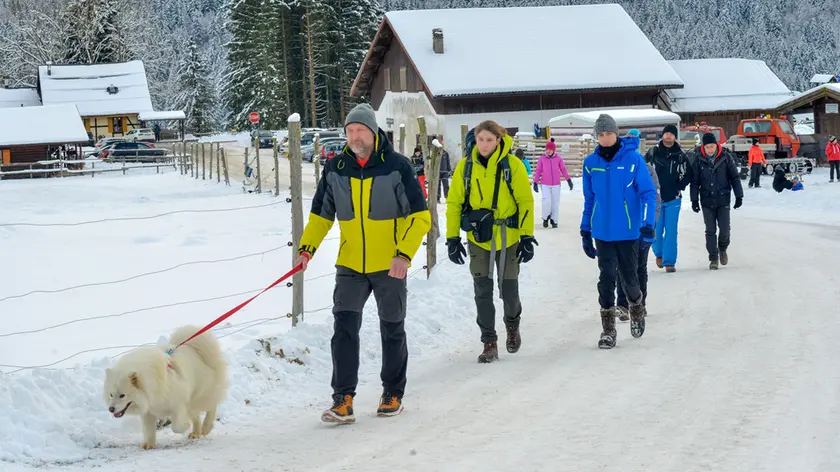 I visitatori si sono equamente divisi tra lo sci di fondo, lo scialpinismo e le escursioni attraverso i boschi, fino al versante pordenonese e poi ritorno all’anello della Piana