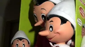 Si ispira al naso lungo di Pinocchio e alle sue bugie il tema che contraddistingue la edizione 2011 del concorso letterario Trichiana Paese del libro