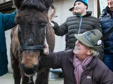 Allegranzi Anzano Il mulo alpino