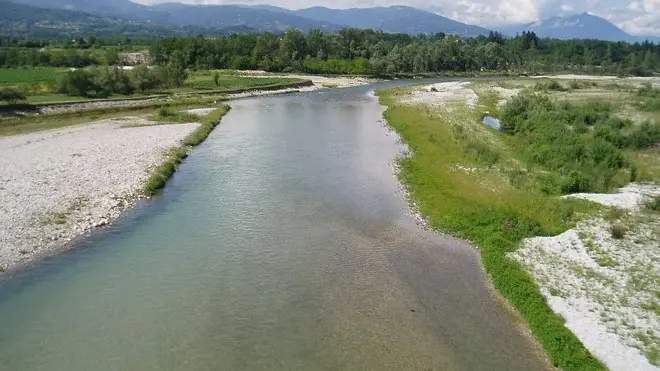 Trichiana, 10 luglio 2005, il greto del fiume Piave sul lato est del ponte di San Felice