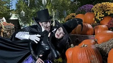 Streghe in circolazione della notte di Halloween