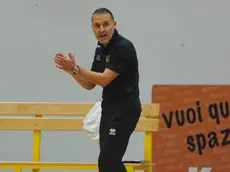 Rino Capalbo