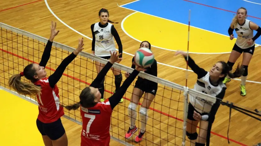 pallavolo femminile Belluno