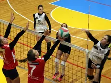 pallavolo femminile Belluno