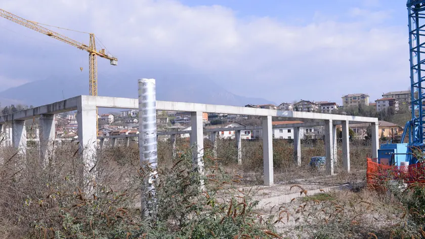 gian paolo perona- perona- belluno- ecomostri- area bardin