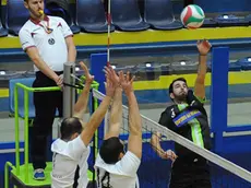 gian paolo perona- perona- belluno volley