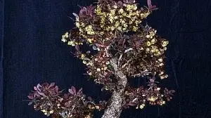 Torna la mostra Bonsai a Feltre