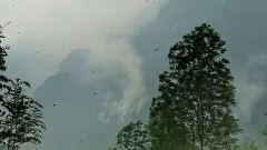 Volontari osservano il fumo sulla montagna