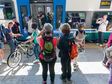 stefano da rin puppel - perona - calalzo di cadore - arrivo del primo treno abilitato al trasporto biciclette