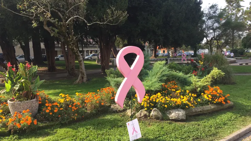 Il simbolo della lotta contro il tumore al seno nei giardini pubblici di Belluno