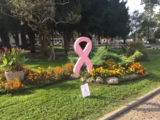 Il simbolo della lotta contro il tumore al seno nei giardini pubblici di Belluno