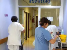 INFERMIERI IN CORSIA DURANTE IL TRASLOCO RIORGANIZZAZIONE ALL'OSPEDALE UMBERTO PRIMO DI MESTRE...TESTATINA LA NOSTRA SALUTE Corsia di un ospedale padovano In alto: Claudio Rizzato dei Ds e Margherita Miotto, di Ipv. A destra: l'assessore Fabio Gava