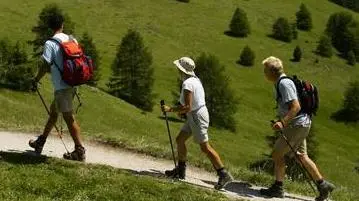 Escursionisti in montagna Escursionisti estivi in montagna