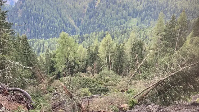 La frana caduta sulla strada che da Zoppè di Cadore conduce al rifugio Venezia
