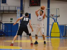 gian paolo perona- perona- belluno- valbelluna basket