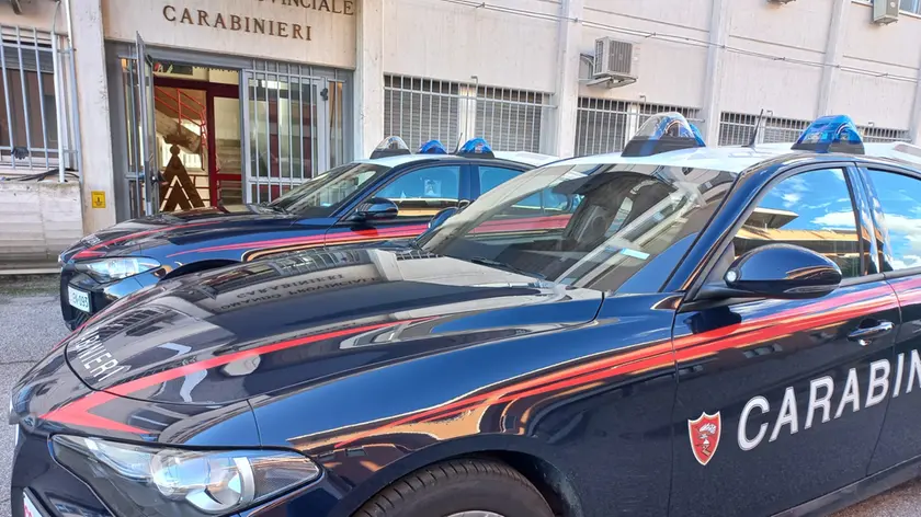 L'operazione è stata effettuata dai carabinieri di Belluno