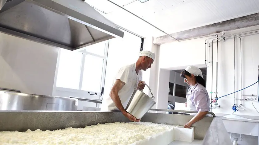 L'interno della latteria di Camolino