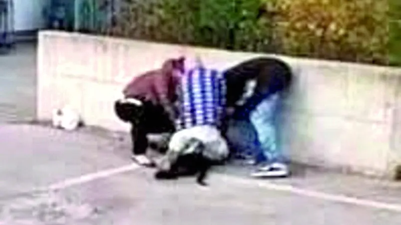 Un fotogramma del video che documenta l’uccisione del cane Kaos