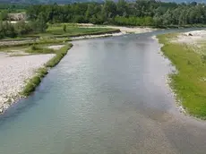 Trichiana, 10 luglio 2005, il greto del fiume Piave sul lato est del ponte di San Felice