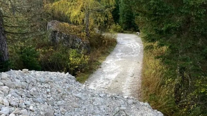 Il fonte franoso fermo sulla silvopastorale