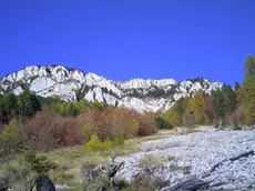 Il monte Coppolo fotografato da Donatella Boldo