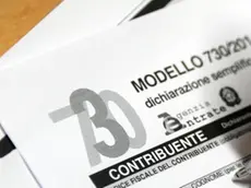 Il modello 730 per la denuncia dei redditi, 19 giugno 2014. ANSA/FRANCO SILVI