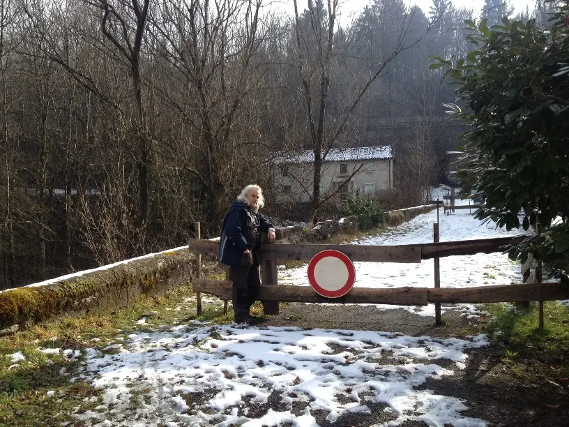 Orso Grigio davanti al divieto di ingresso