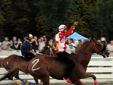 Palio di Feltre, domenica, vince quartiere Santo Stefano