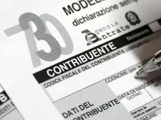 Il modello 730 per la denuncia dei redditi, 19 giugno 2014. .ANSA/FRANCO SILVI