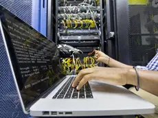 Technician with laptop checking server in data centre