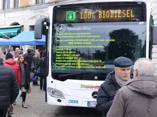 gian paolo perona- perona- belluno- nuovo bus della dolomitibus