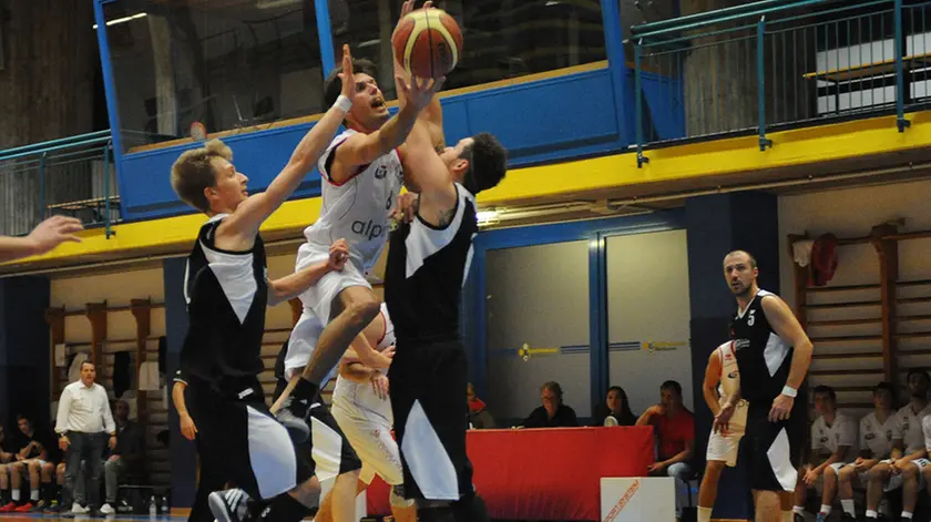 gian paolo perona- perona- belluno basket