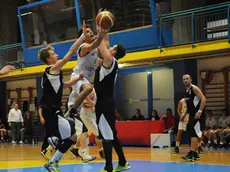 gian paolo perona- perona- belluno basket