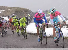 Cycling: 96th Tour of Italy 2013 / Stage 15 NIBALI Vincenzo (Ita) Pink Jersey / SCARPONI Michele (Ita)/ SANTAMBROGIO Mauro (Ita)/ EVANS Cadel (Aus)/ URAN URAN Rigoberto (Col)/ Cesana Torinese - Col du Galibier (Valloire) (2642m)(145km)/ Giro Tour Italie Ronde van Italie / Rit Etape /(c)Tim De Waele