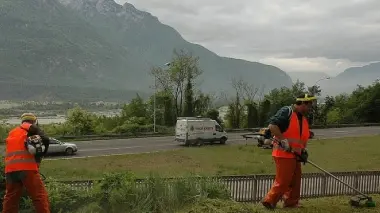 Si sfalcia a mano o con le macchine operatrici lungo le strade