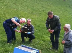 Gli esperti osservano i danni causati dall’orso e in alto l’alveare distrutto sul prato dell’abitazione