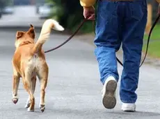 A02JAA Man walking dog