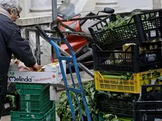 Una donna anziana cerca del cibo tra gli scarti di un mercato, Roma, 20 febbraio 2014. ANSA/ALESSANDRO DI MEO