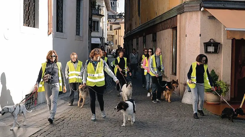 I volontari di Apaca in azione