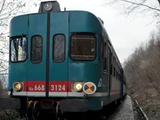 Santa Gisutina, 5 Gennaio 2010. Incidente ferroviario causato dal un tronco abbandonato sui binari