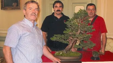 L’abete rosso che si è fatto apprezzare alla mostra di Gorizia