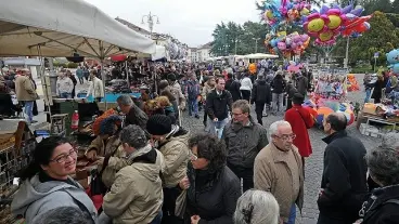 La folla che ha riempito ieri il centro di Belluno per la sagra di San Martino, e una delle bancarelle di fiori